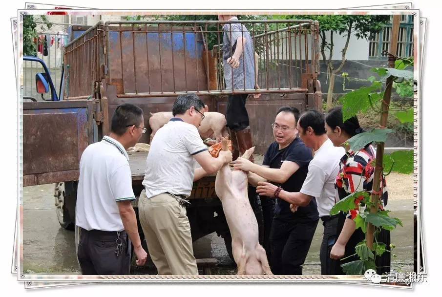 图片32.png