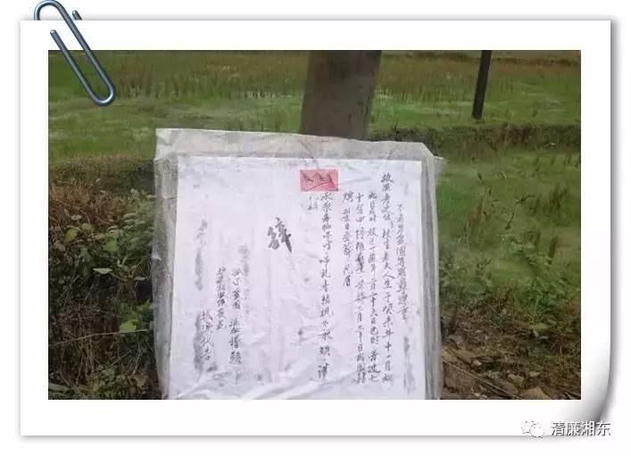 图片12.JPG